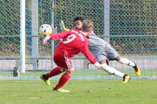 U13 (D1) – Knappe 2:3 Heimniederlage gegen FC Bayern München